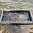 Kép 2/7 - Garda Carp Floating Mat –Felfújható haltároló matrac nyomáscsökkentő szeleppel.