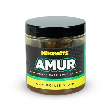 Amur range – Bojli in Dip 16 mm