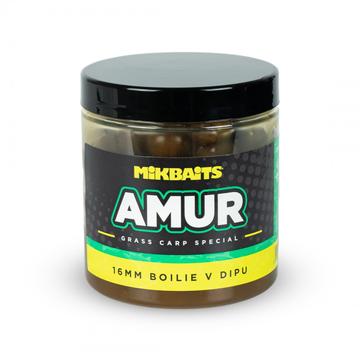 Amur range – Bojli in Dip 16 mm  