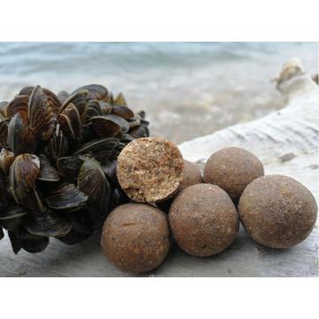 LIVERIX -GLM KAGYLÓ – MÁJ BOJLI 2,5kg 20 mm