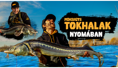TOKHALAK NYOMÁBAN