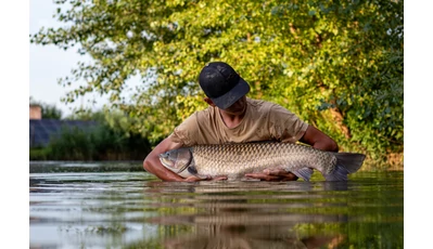 Mi a lényeg a pecádban?