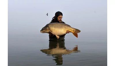 Kis híján 20kg felett a Balatonon